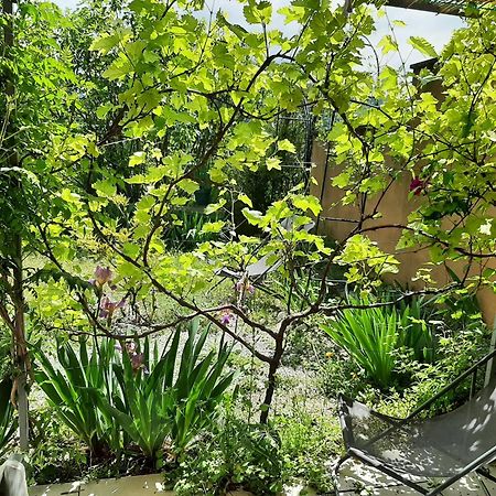 Apartmán T.Belle Vue Panoramique Au Coeur Du Luberon 40M2 + Pergola . Jardin. P Apt Exteriér fotografie