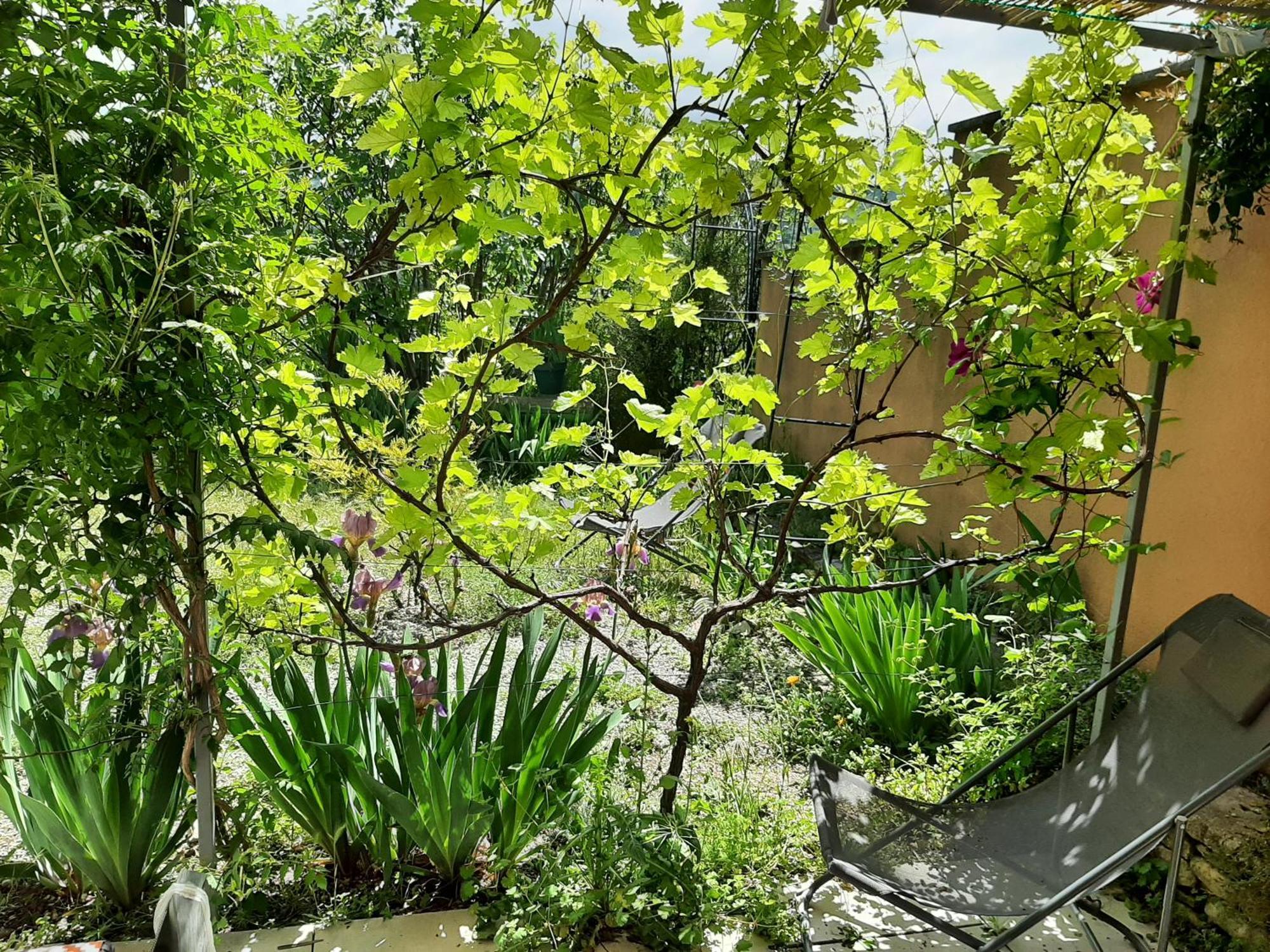 Apartmán T.Belle Vue Panoramique Au Coeur Du Luberon 40M2 + Pergola . Jardin. P Apt Exteriér fotografie